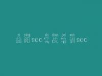 益阳seo实战培训seo 建设企业网站