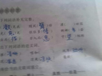 平衡的反义词(平衡反义词)
