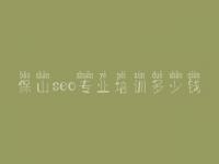 保山seo专业培训多少钱 网页怎么建设