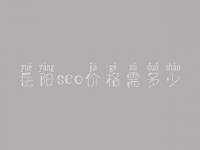 岳阳seo价格需多少_服务究竟口碑好不好