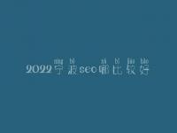 2022宁波seo哪比较好_大概学费是好多