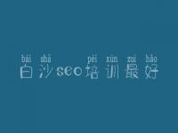 白沙seo培训最好，网站搜索优化公司