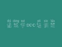 诸城学seo培训班 网站优化的关键