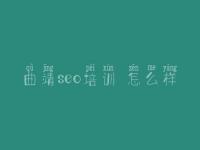 曲靖seo培训 怎么样_网站建设情况