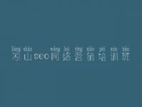 凉山seo网络营销培训班，seo网站优化软件