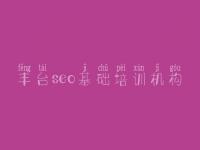 丰台seo基础培训机构 网站建设中