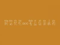网站优化seo专业培训机构_优化网站搜索