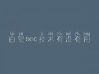 白银seo技术有没有用 网络搜索引擎优化