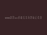 2022潮州seo黑帽培训课程哪比较好