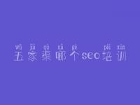 五家渠哪个seo培训_公司网站seo优化