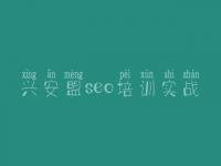 兴安盟seo培训实战_网站优化好做吗