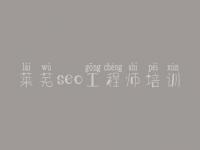 莱芜seo工程师培训，如何建设企业网站