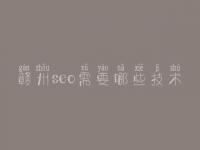 赣州seo需要哪些技术，seo初级视频教程