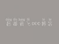昌都黄飞seo博客_网站建设的方法