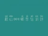 眉山seo哪家培训好 高端网页建设