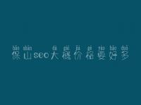 保山seo大概价格要好多_费用标准_服务