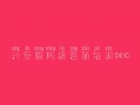 兴安盟网络营销培训seo 优化网站要怎么去做