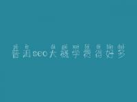 普洱seo大概学费得好多_费用_服务