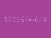 青海专业培训seo的机构，英文官网建设