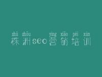 株洲seo营销培训，安全网站建设