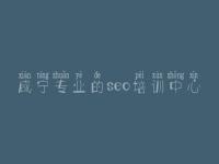 咸宁专业的seo培训中心 哪家网站优化好