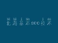 北海基本seo技术，网站建设需求方案