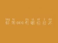 蚌埠seo有哪些技术_seo竞价教程