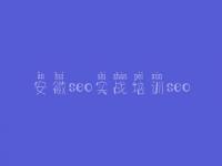 安徽seo实战培训seo，网站建设举措