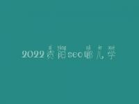 2022资阳seo哪儿学_培训班_联系电话