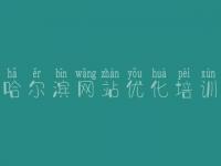 哈尔滨网站优化培训_提供网站建设