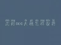 沈阳seo大概怎样收费_地址_电话