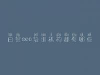 白银seo培训机构都有哪些，免费的网站建设