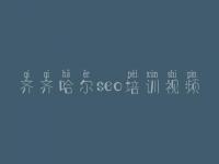 齐齐哈尔seo培训视频，seo网盘教程