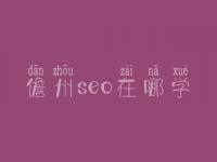 儋州seo在哪学_费用标准_联系方式