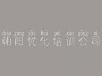 朝阳优化培训公司，网站不能优化