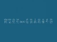 网站优化seo培训机构那个好 免费网站优化