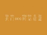 天门seo网站搭建，网站推广seo方法