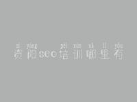 资阳seo培训哪里有 平台网站建设有哪些