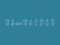 杨浦seo项目实战培训_网站建设者