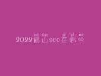 2022眉山seo在哪学_收费标准_联系方式