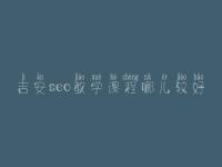 吉安seo教学课程哪儿较好，seo职业具体做什么
