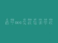 西宁seo实战培训学校 网站建设的步骤