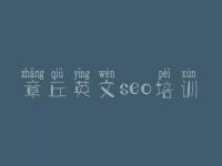 章丘英文seo培训_网站建设方式