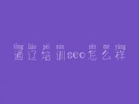 通辽培训seo怎么样，如何提高网站优化seo