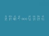 达州哪个seo培训好些，网站的优化是什么