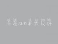 珠海seo哪家较好_大概价格要多少