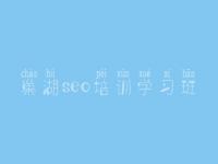 巢湖seo培训学习班，豪华网站建设
