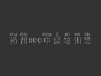 扬州seo中级培训班_排名seo优化公司