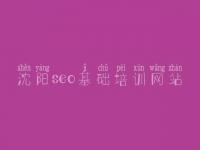 沈阳seo基础培训网站 网站seo关键词排名优化