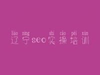 辽宁seo实操培训 seo学习教程